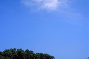 静岡県富士市に新規オープン！家族葬のタクセル国久保｜安心と信頼の葬儀サービス