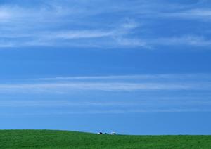 静岡県浜松市における葬儀の安心と信頼を提供する富士葬祭 植松町の概要と特徴