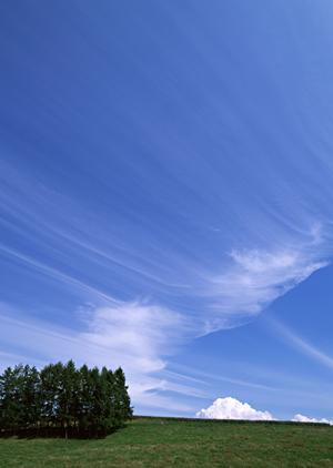 静岡県浜松市に新規オープン！家族葬のタクセル佐鳴台の特徴と魅力