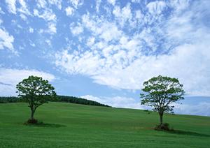 静岡市で選ばれる【家族葬のタクセル】?低価格・安心の葬儀サービスをご紹介