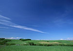 小山市の信頼できる葬儀サービス｜さがみ典礼 小山の特徴と店舗情報