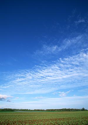 静岡県浜松市における家族葬の選択肢と最新の葬儀場情報 ? 「家族葬のタクセル豊町」完全ガイド