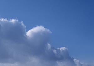 鹿児島でペット葬儀をしてくれる業者