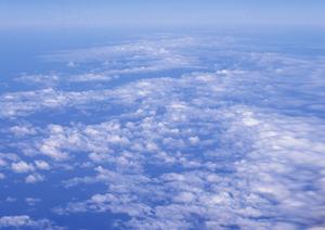 静岡市の家族葬・少人数葬儀に最適な【富士葬祭 みずほ】の特徴と詳細情報